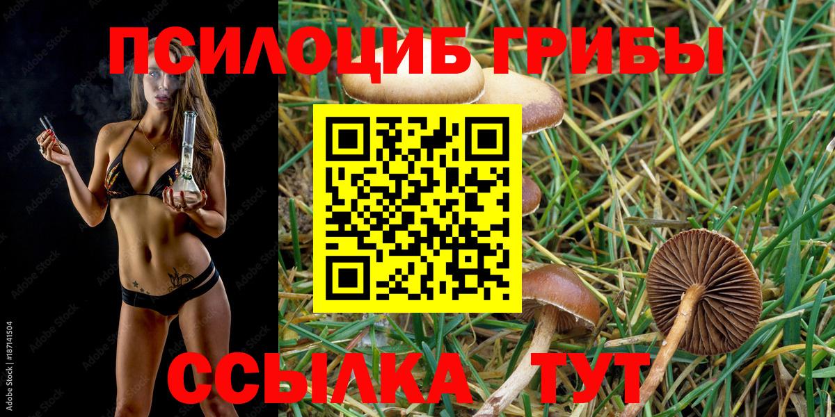 Галлюциногенные грибы MAGIC MUSHROOMS Елизово