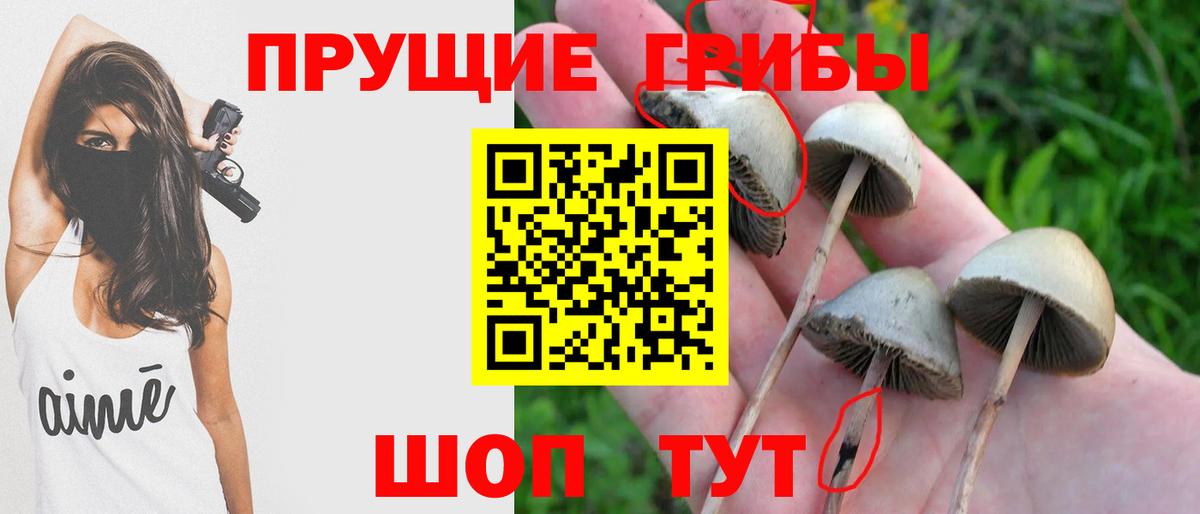 Елизово  Псилоцибиновые грибы ЛСД  Вход с VPN 